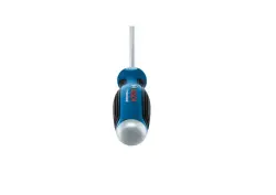 Bosch SL4.5x100mm Tornavida - 2